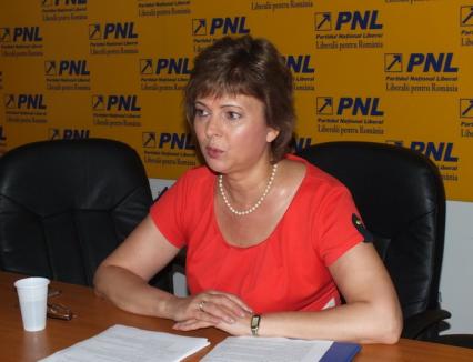 Deputatul Cherecheş vrea amânarea exploatărilor gazelor de şist